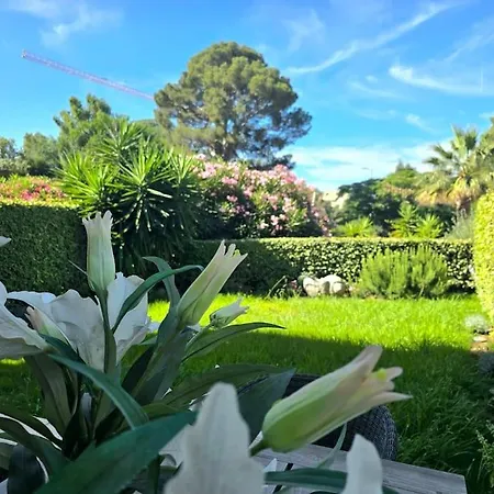 T2 Rdj Raphael Front De Apartment Saint-Raphael (Var)